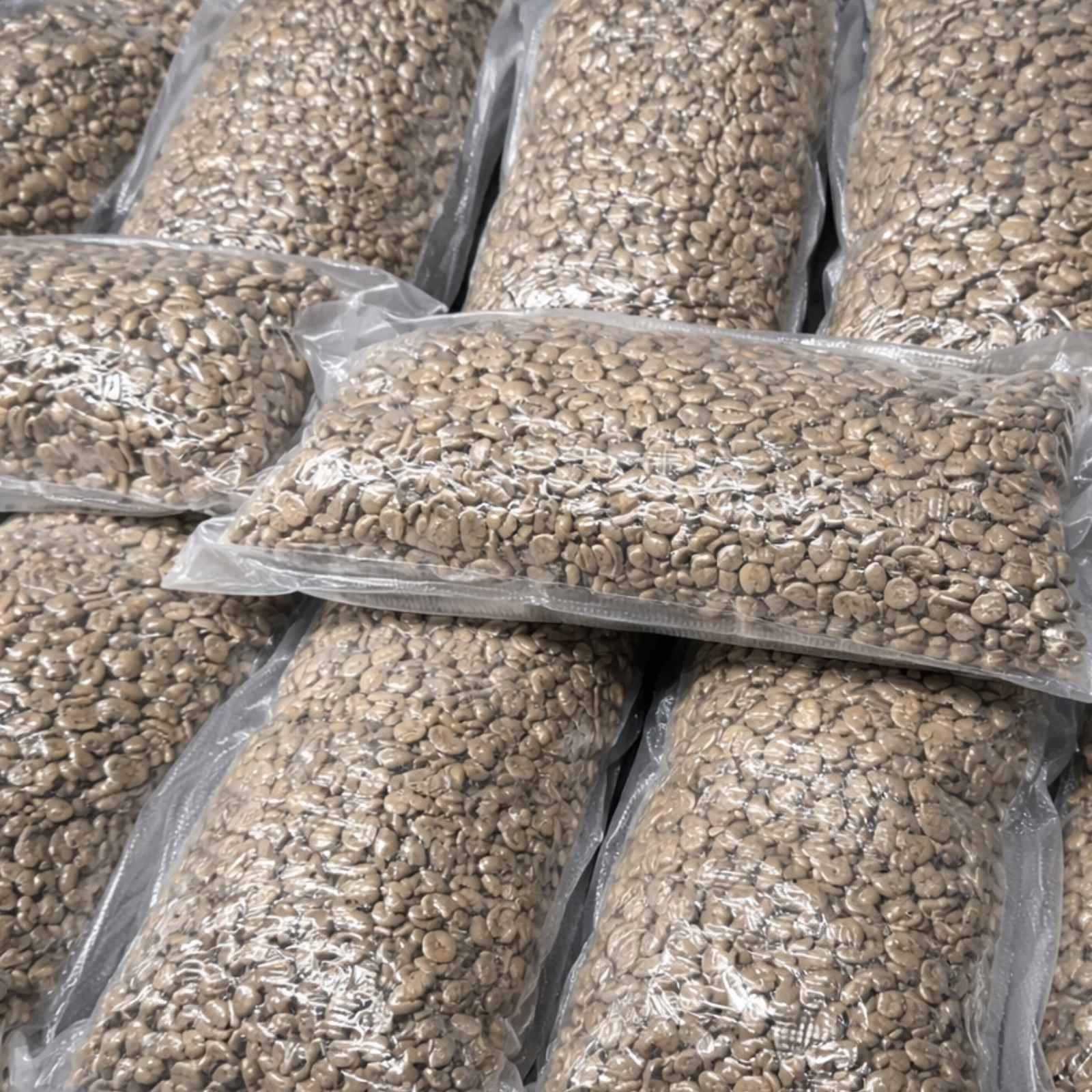 Pre-portioned green coffee beans sealed in double vacuum bags, showing protected storage used to preserve freshness and quality before roasting