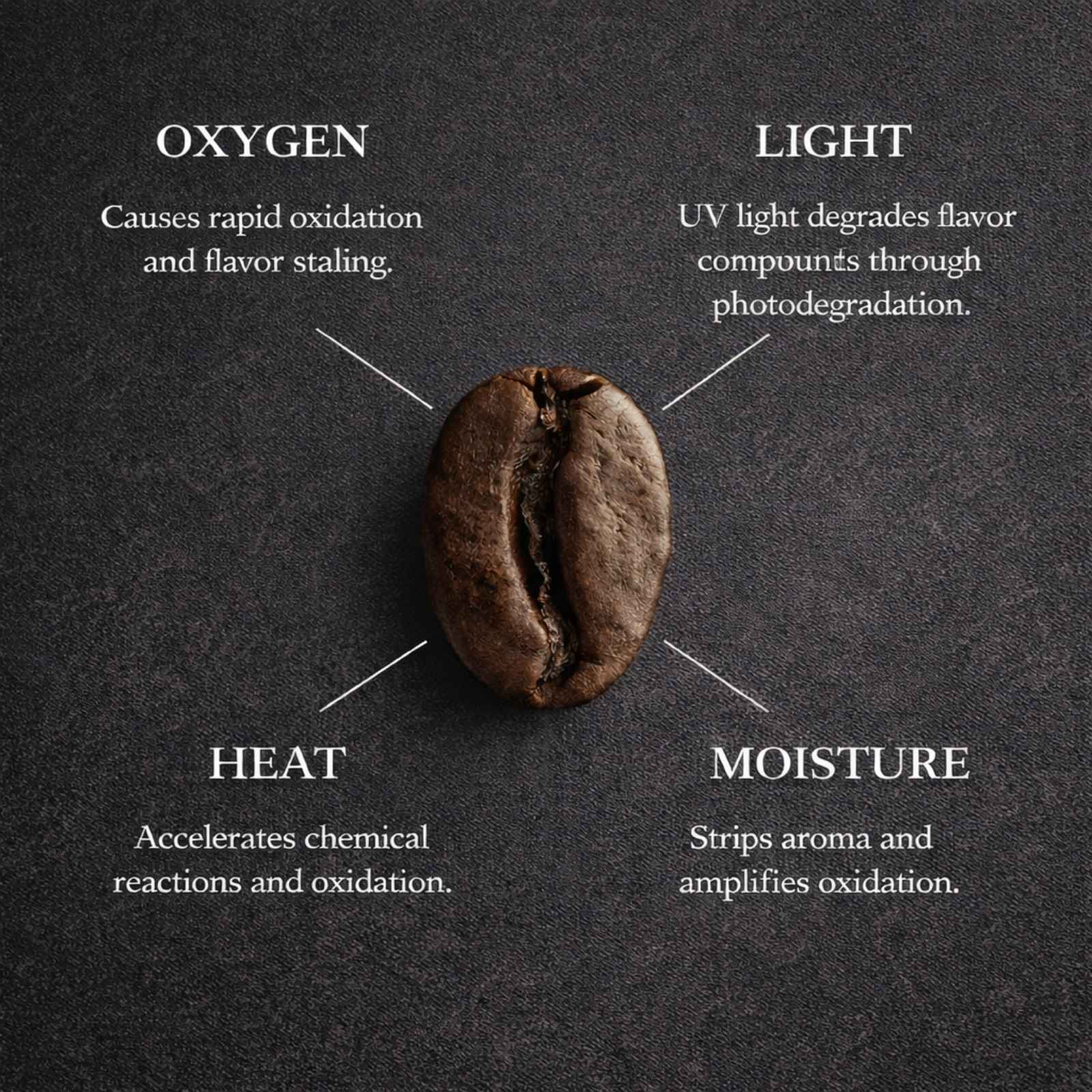 Educational infographic showing a roasted coffee bean on a dark charcoal background with labeled lines explaining how oxygen, light, heat, and moisture degrade coffee flavor over time
