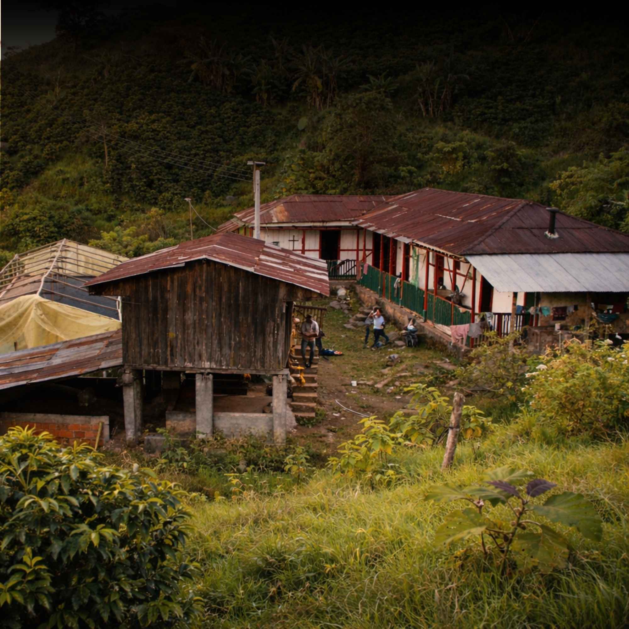 Edward Sandoval Estate Collection