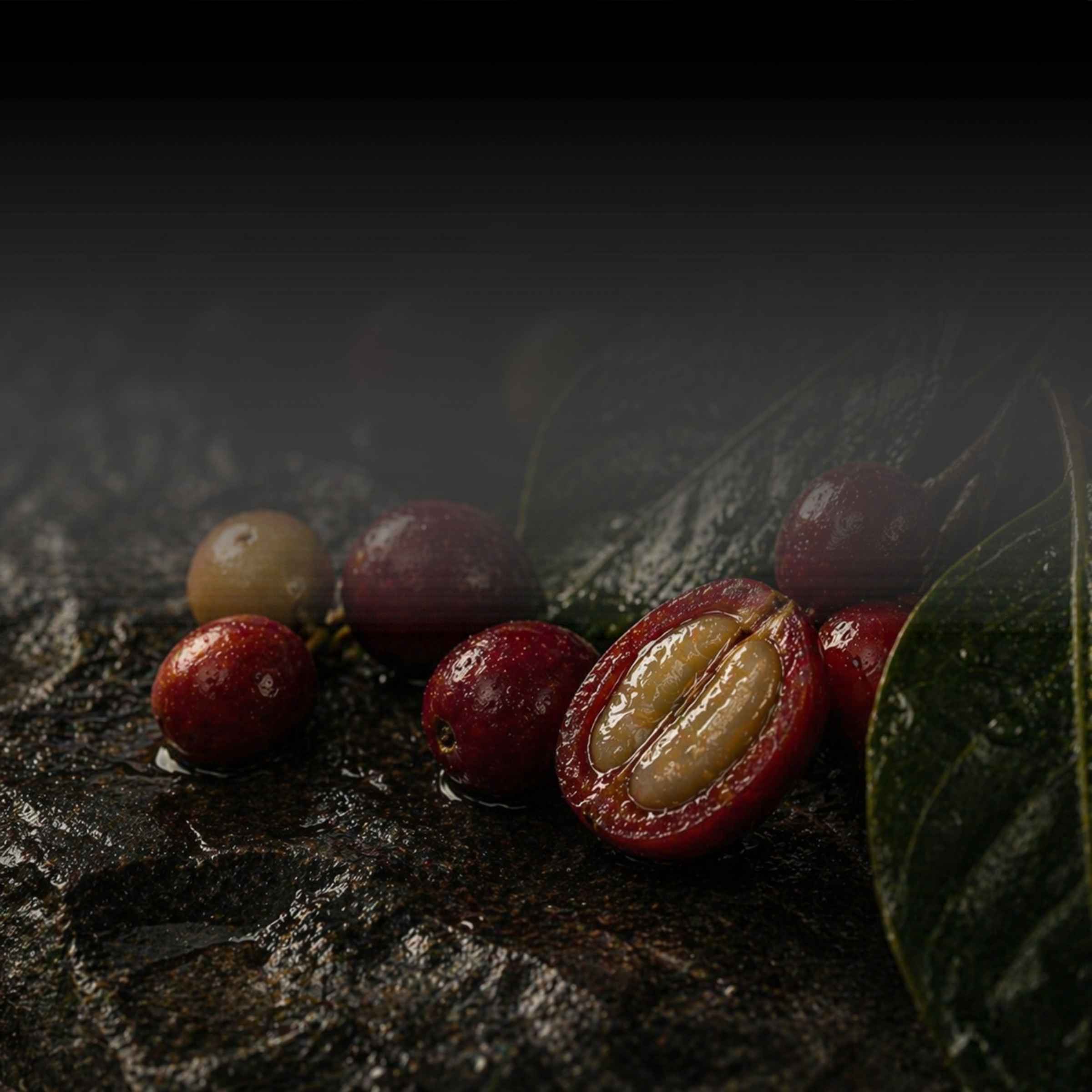 Burnett Coffee Roasters Rare Varietals