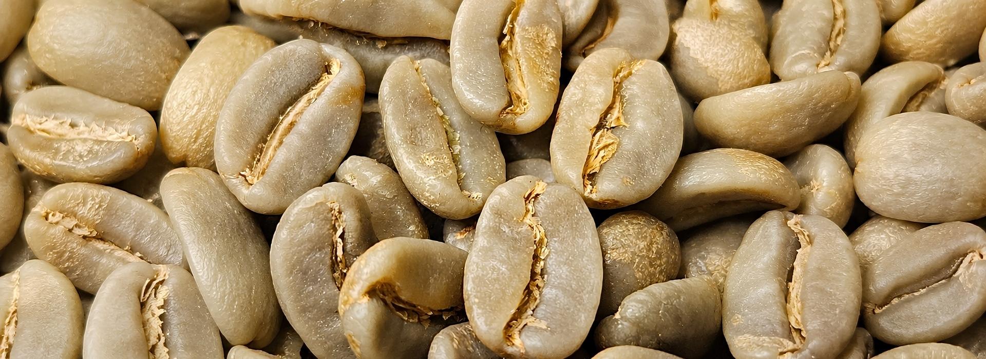 Burnett Coffee Roasters