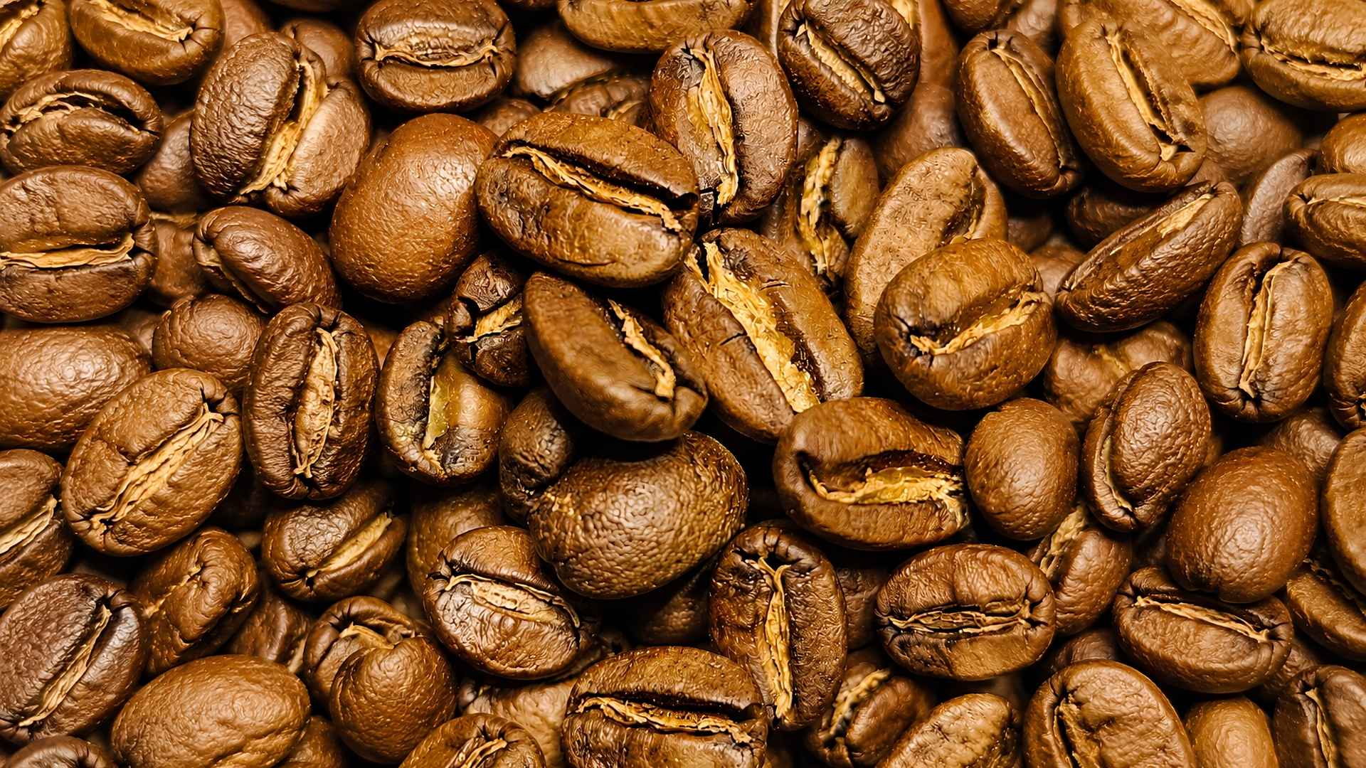 Burnett Coffee Roasters