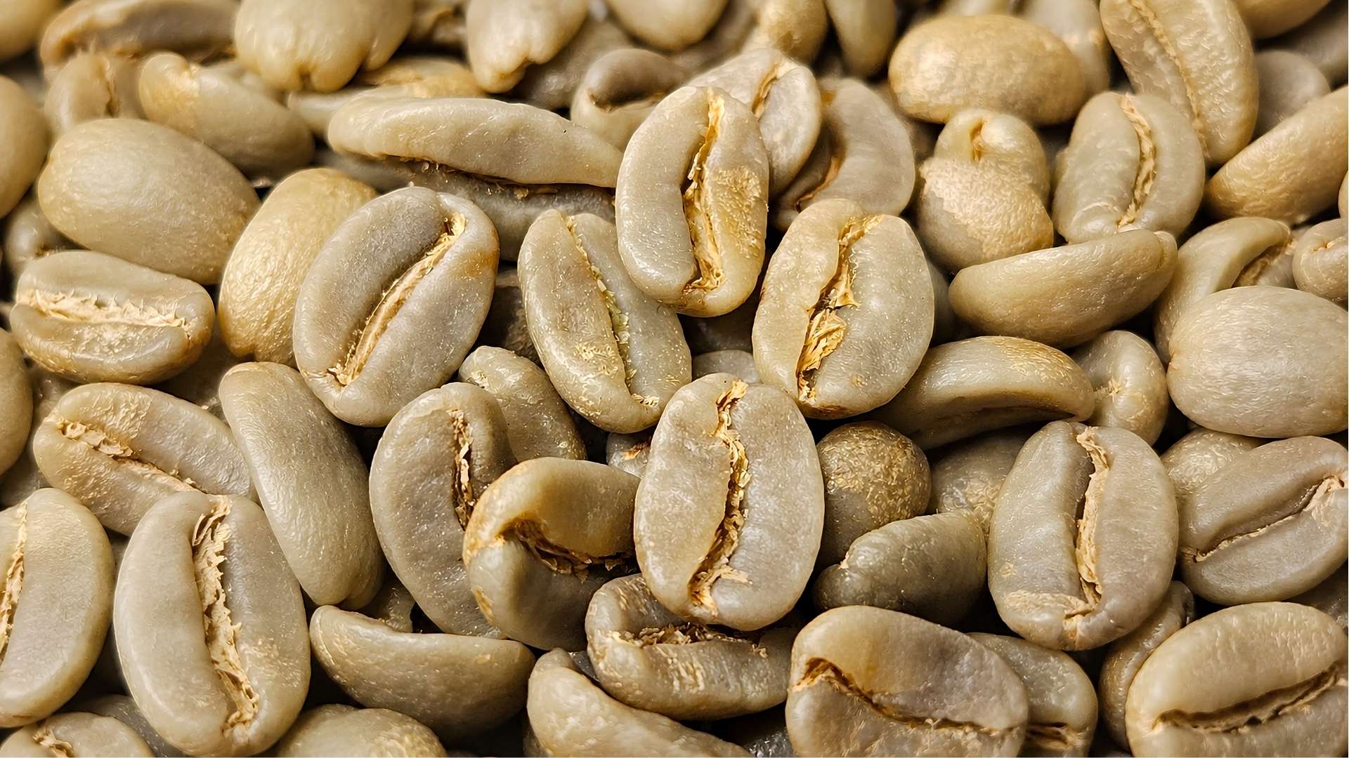 Burnett Coffee Roasters