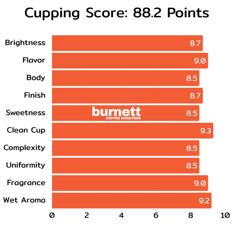 Colombia Granjeros de Huila Bourbon Burnett Coffee Roasters