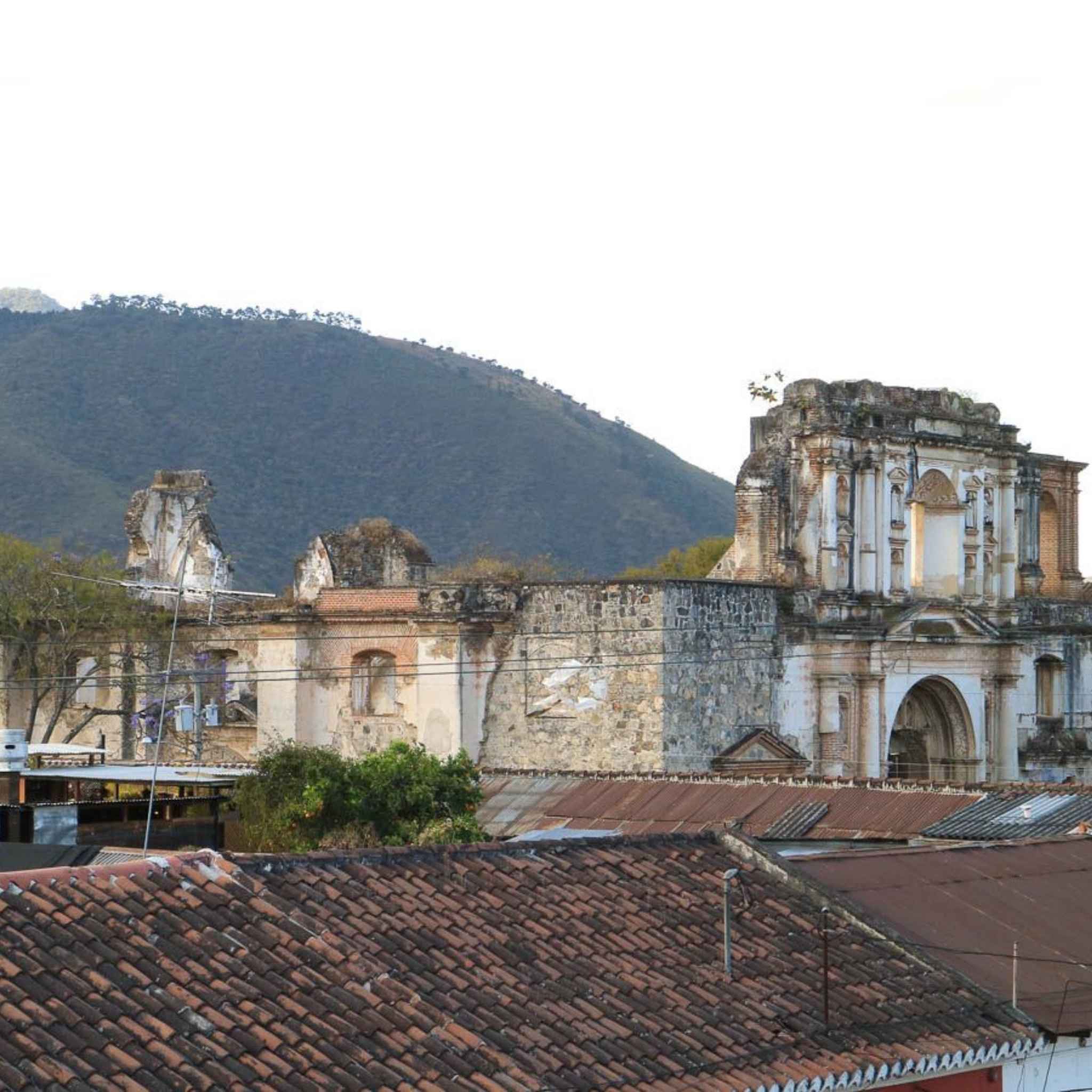 Guatemala Zelaya Family Farms - Washed Process, Java, SHB EP