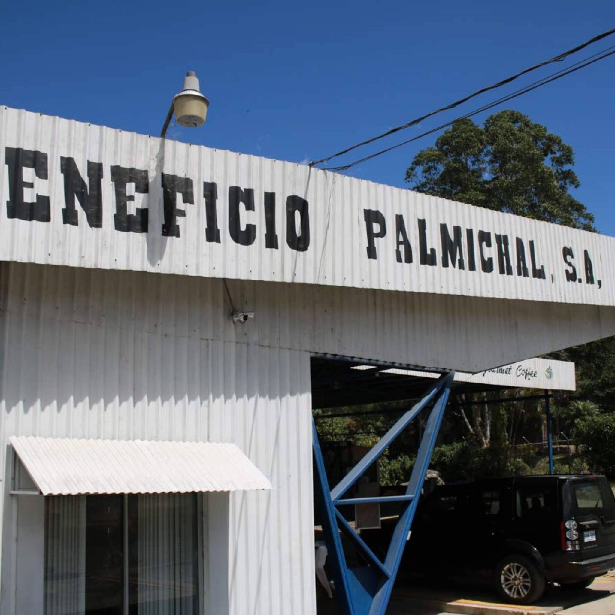 Costa Rica Cristian Alvarez Estate - Anaerobic, Caturra, Catuaí, SHB