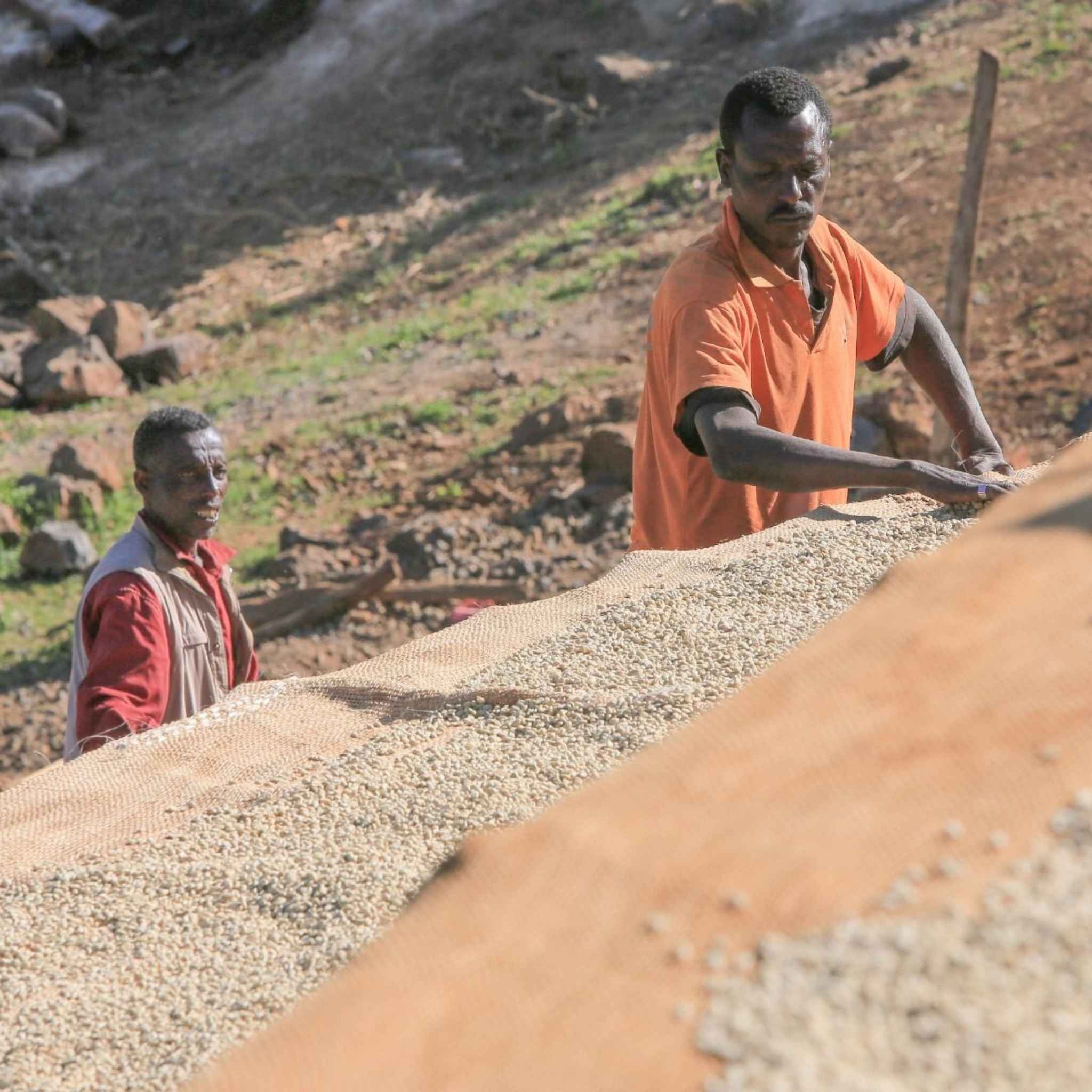 Ethiopia Uraga Raro Boda Grade 1