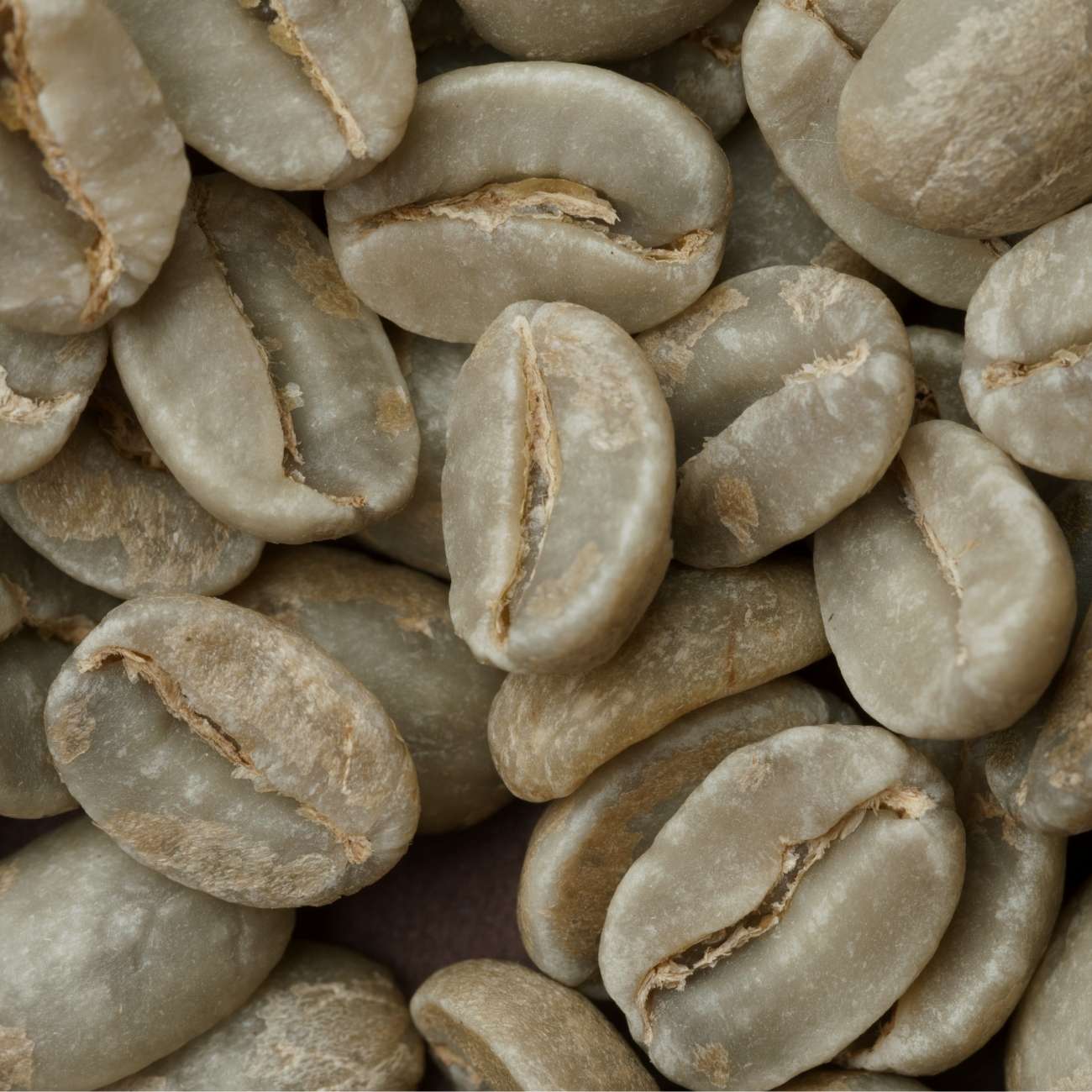 Extreme close-up of unroasted specialty coffee beans showing natural color and texture