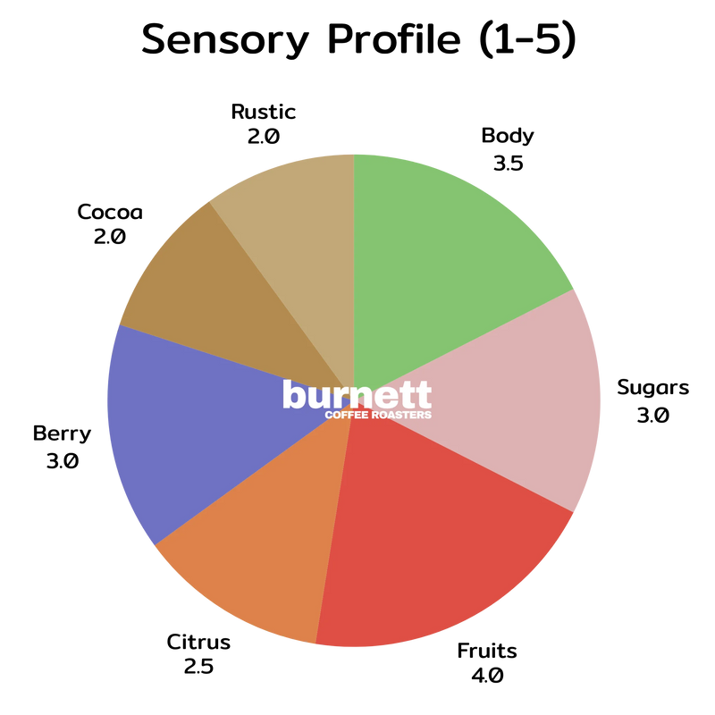 Nicaragua Maracaturra Burnett Coffee Roasters