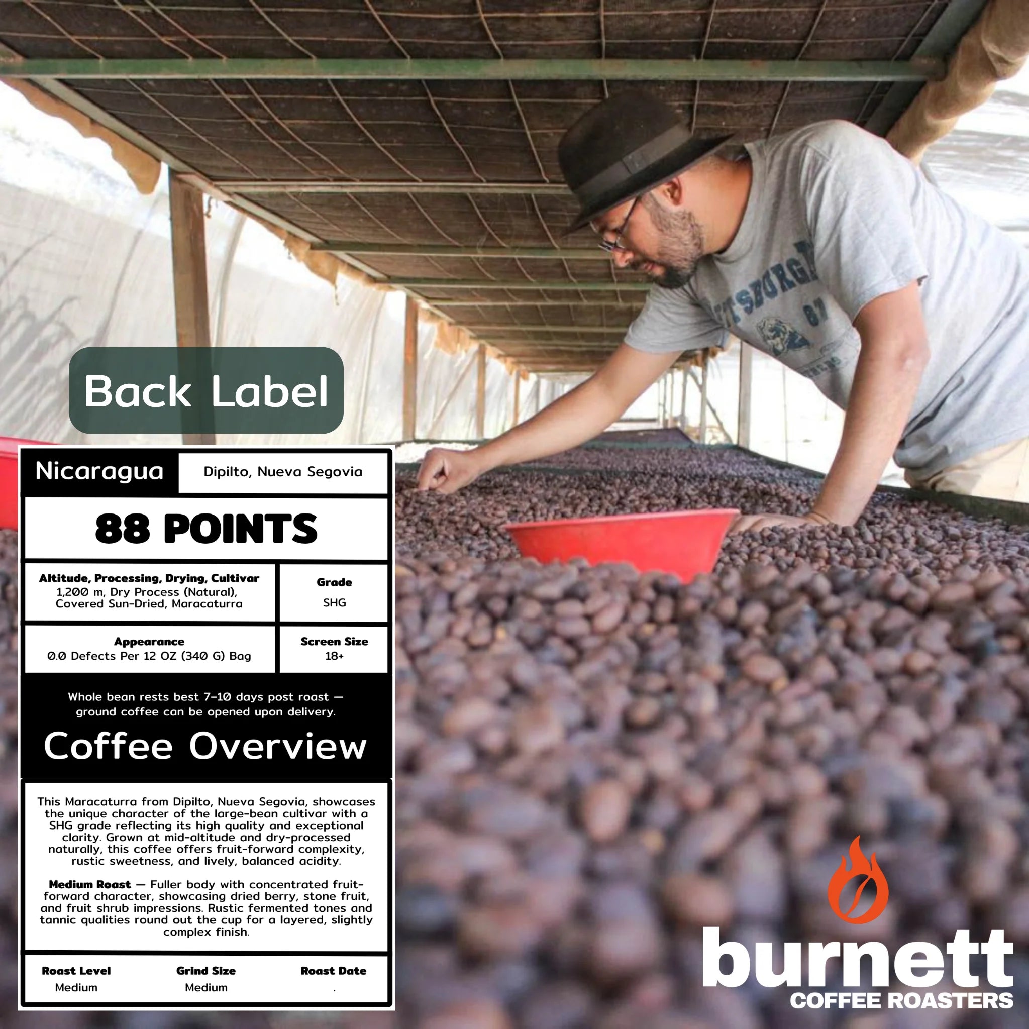 Nicaragua Maracaturra Burnett Coffee Roasters