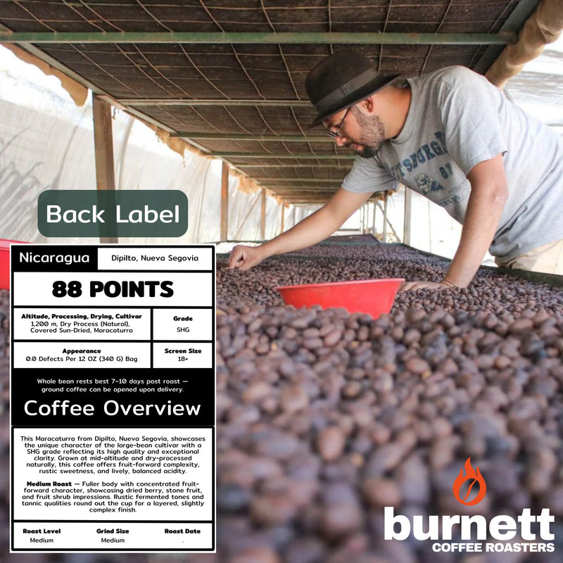 Nicaragua Maracaturra Burnett Coffee Roasters