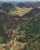 Drone footage descending over a mountainous coffee-growing landscape